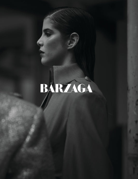 Barzaga's Vision