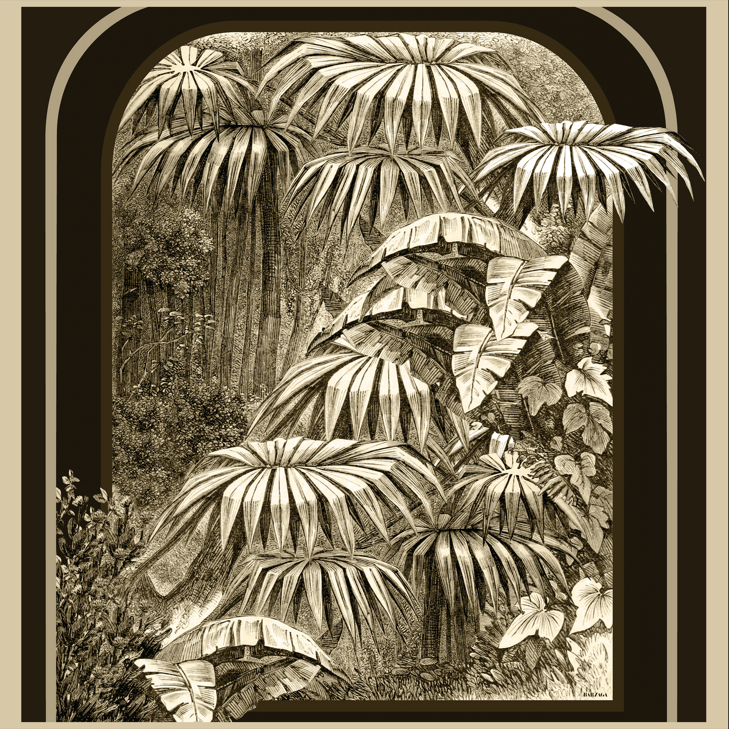 Bosque Tropical de Chocolate