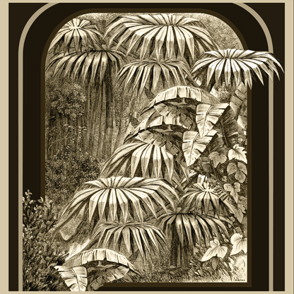 Bosque Tropical de Chocolate